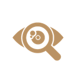 Digital Marketing Icon_Search Engine Optimization (SEO)